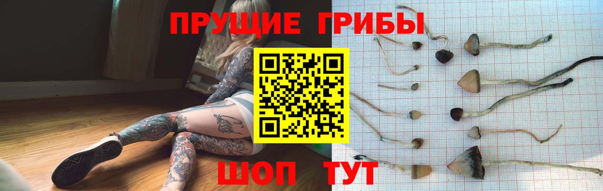Псилоцибиновые грибы MAGIC MUSHROOMS  Вход с VPN  Ковров 